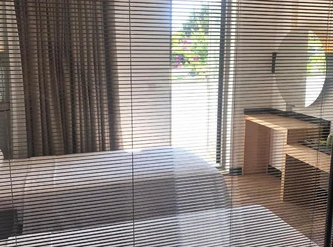 On 2* 올루데니스