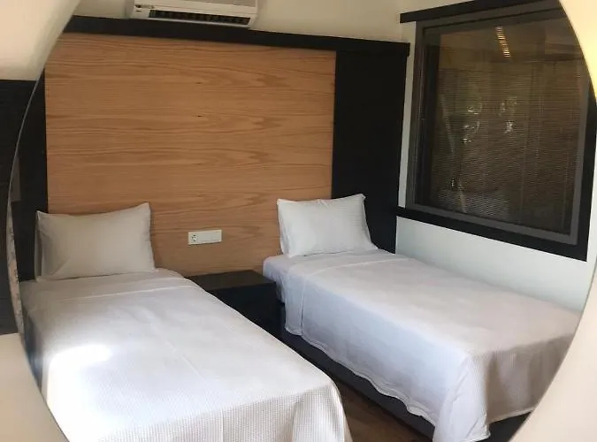 On 2* 올루데니스