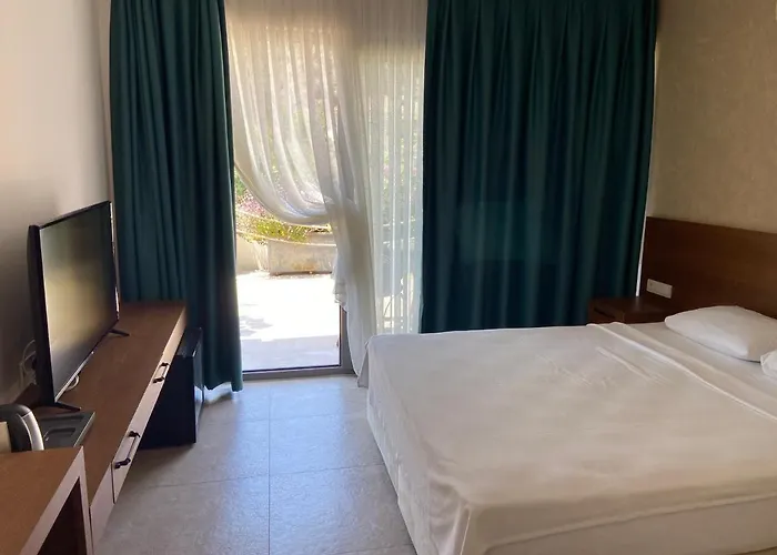 On 2* 올루데니스