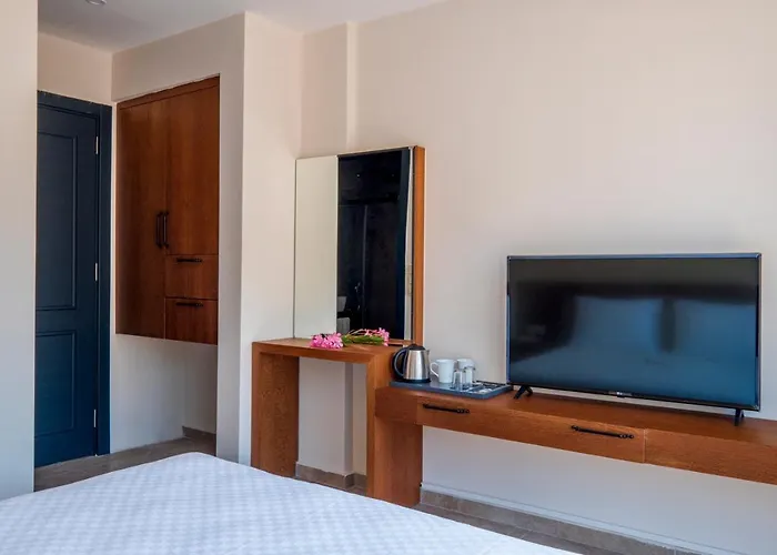 On 2* 올루데니스