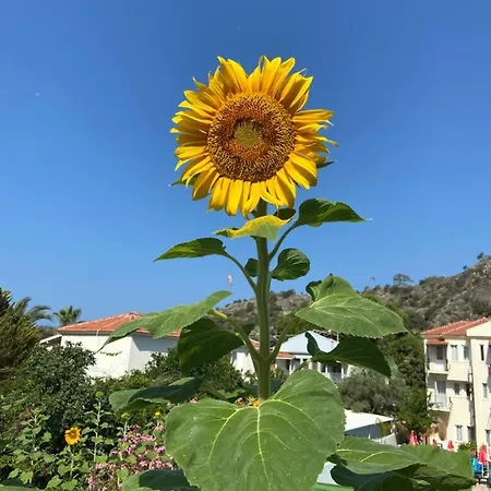 On 2* Oludeniz